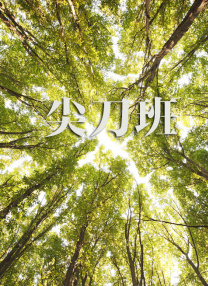 久久成人小视频